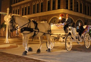 Horse Drawn Carriage 01 (4)