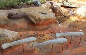 Otters and Fish in Empty Pond