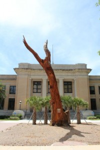 Eagle at County Commission Chambers 01