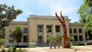 Eagle at County Commission Chambers 02