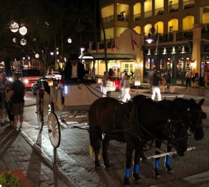 Horse Drawn Carriage 02 (2)