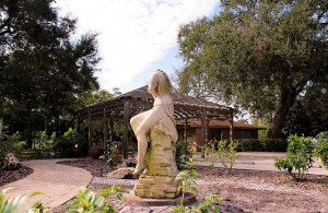 In the Hibiscus Garden, East View, Wide Angle