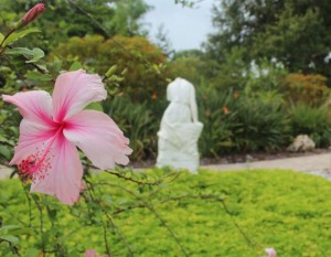 Lorelei Beyond the Pink Hibiscus 01S