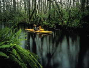 Frank in his kayak