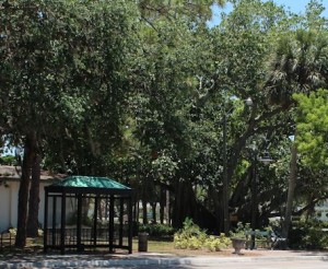 The Secret Bench Panoramic View 2A