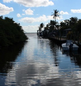 View from the Dock