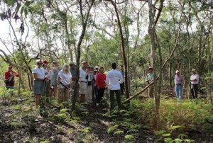 On Mound Key 15