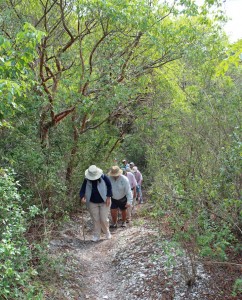 On Mound Key 24 Return Trip