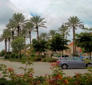 Gulf Coast Town Center 05