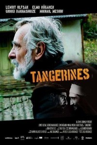 Tangerines 02