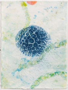 Deb Martin Blue Green Algae