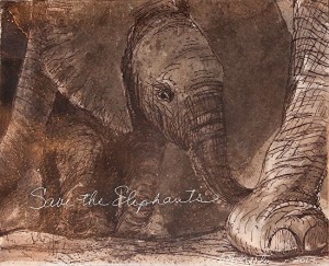 Deborah MartinElephant Series 04