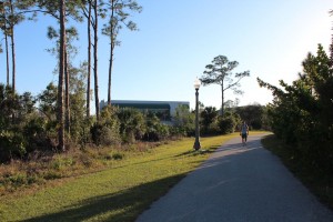 FGCU Library 01