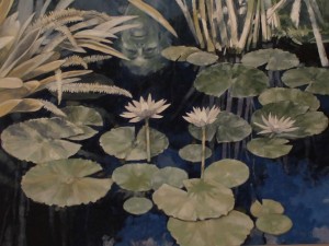 Schwartz Water Lillies 01