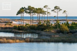 Coastal Dune Lakes 02