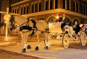 Horse Drawn Carriage 01 (4)