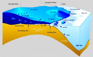 antarctica-8