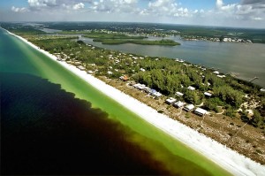 Blue Green Algae Blooms 07