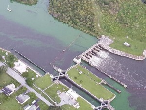 Blue Green Algae Blooms 09