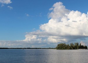 Panoramic View of River from Ground Level 2