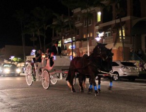 Horse Drawn Carriage 01 (2)