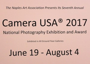 Camera USA 2017 Exhibit 01
