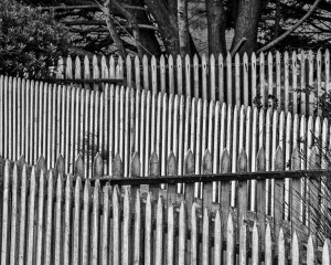 Tony Hertz Fence Study 4