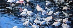 For FGCU alum Megan Kissinger, art is quest for super realism For FGCU alum Megan Kissinger, art is quest for super realism