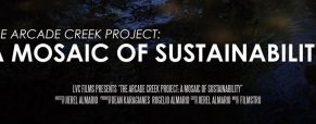 ‘Arcade Creek Project’ doc tells story of Cal high school students working to save dying ecosystem