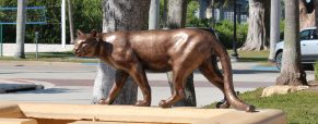 Conservation of Wilkins’ ‘Florida Panthers’ now complete