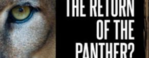‘The Return of the Panther’ engenders meaningful discussions among people of diverse viewpoints